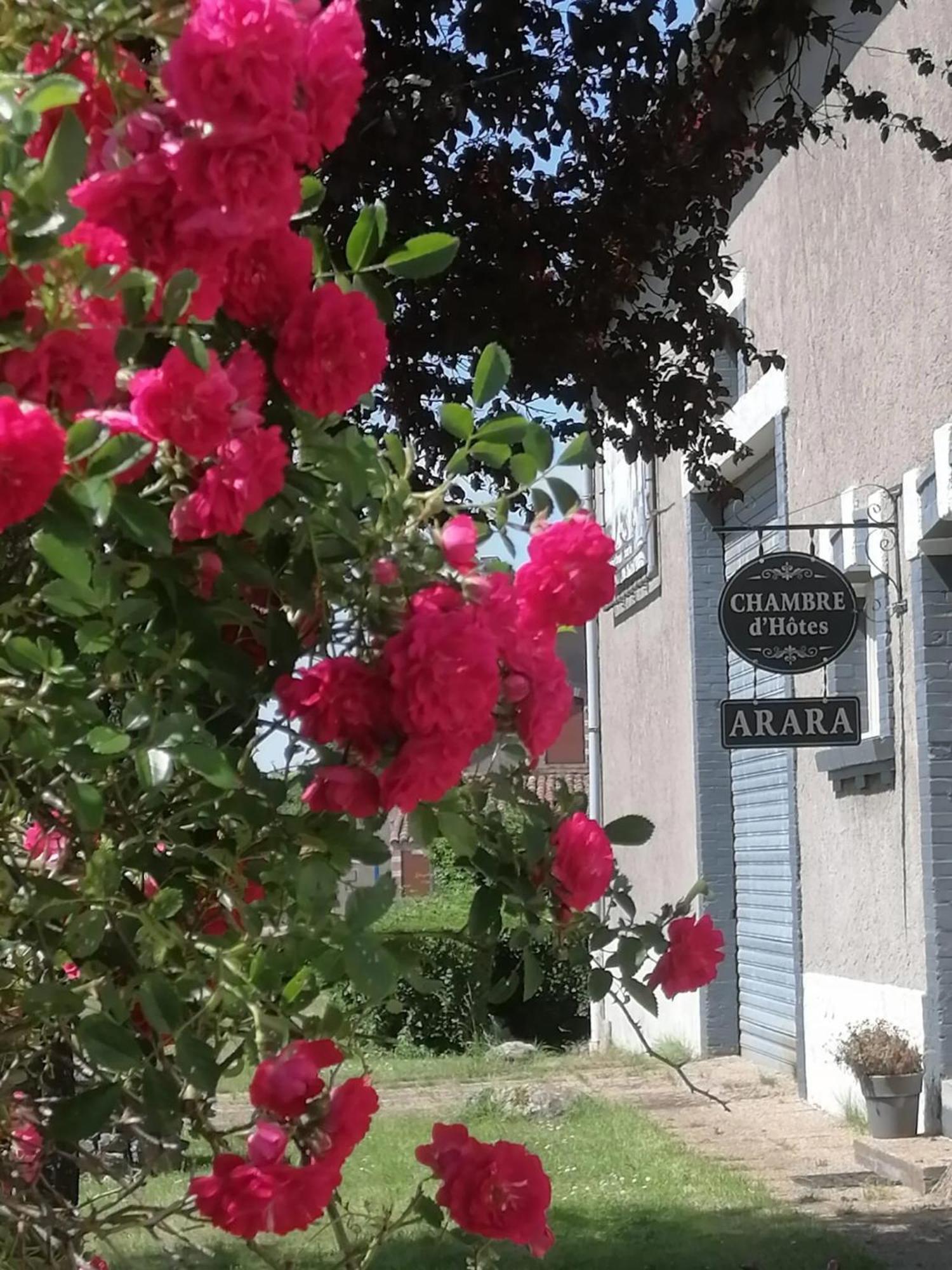 Bed and Breakfast Arara Montfaucon-d'Argonne Exterior foto