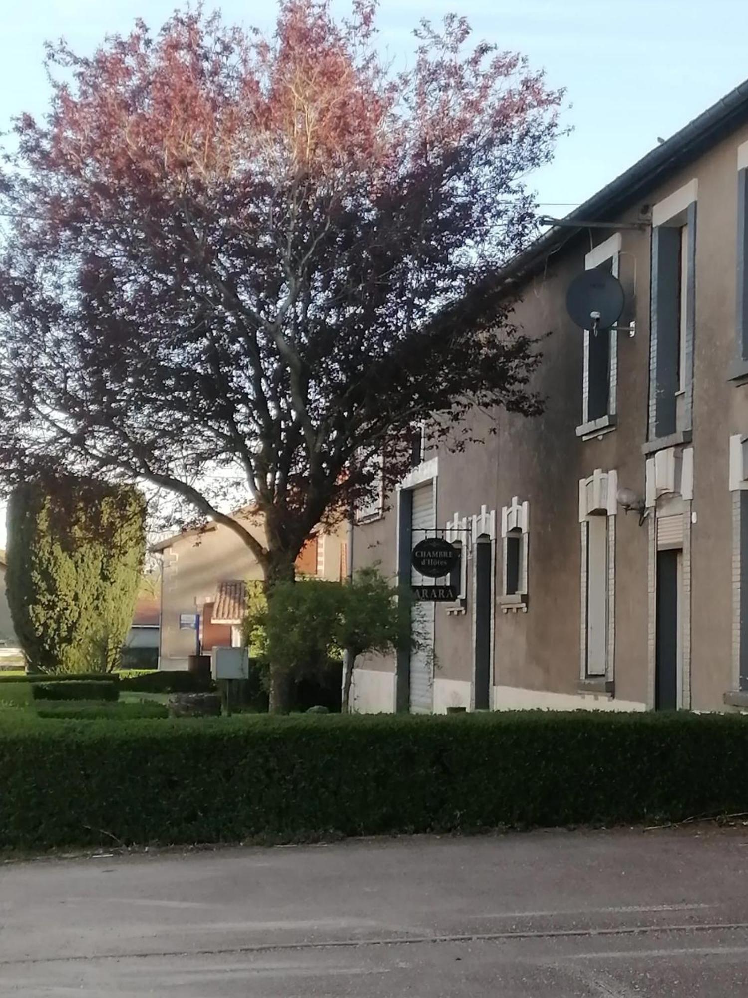 Bed and Breakfast Arara Montfaucon-d'Argonne Exterior foto